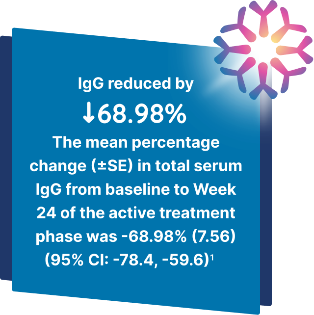 The mean percentage change in total serum IgG from baseline to Week 24 of the active treatment phase was -68.98%