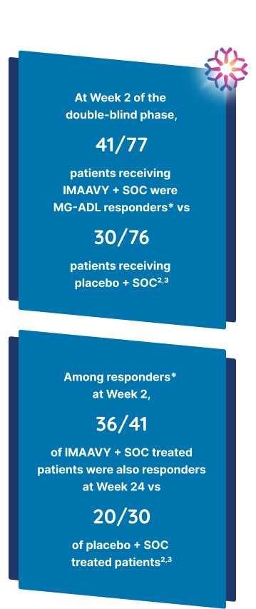 At Week 2 of the double-blind phase, 41/77 patients receiving IMAAVY + SOC were MG-ADL responders* vs 30/76 patients receiving placebo + SOC