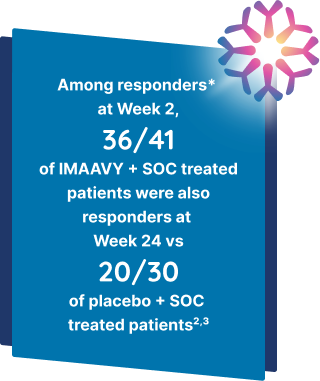 Among responders* at Week 2, 36/41 of IMAAVY + SOC treated patients were also responders at Week 24 vs 20/30 of placebo + SOC treated patients