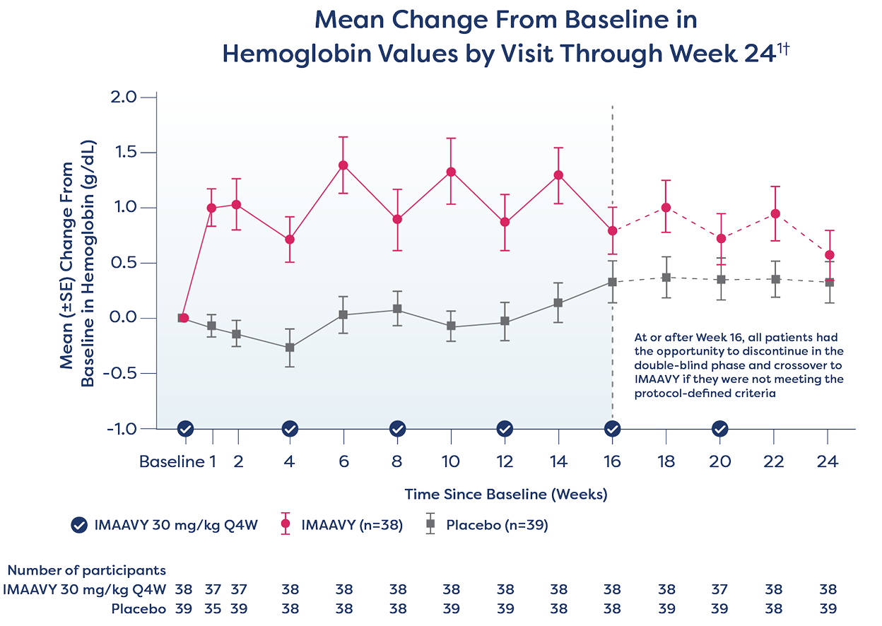 Mean Change from Baseline in Hemoglobin Values by Visit Through Week 24