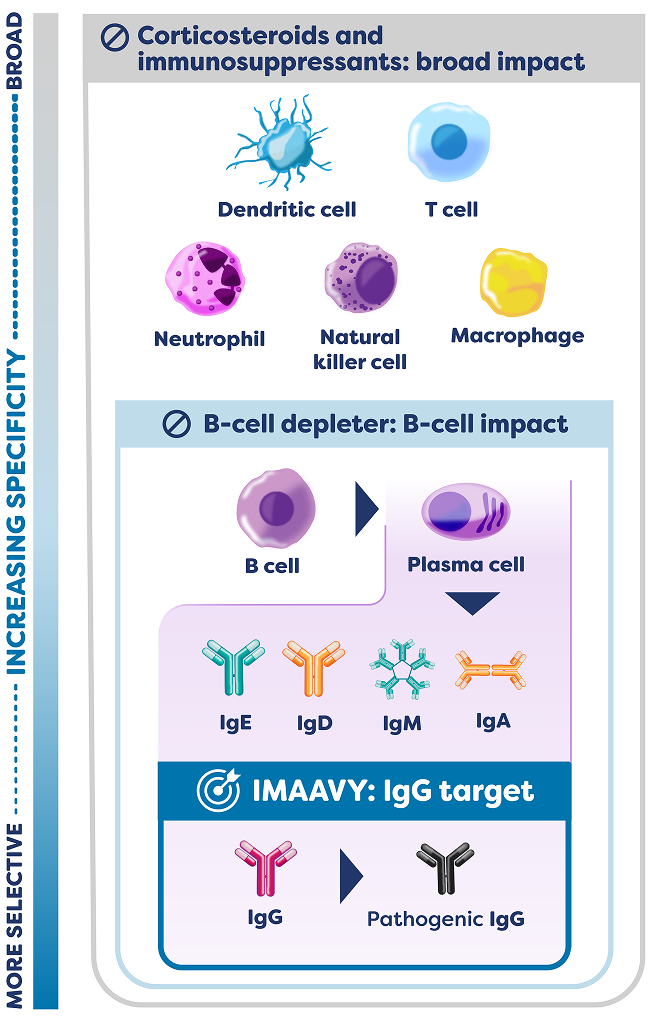 IMAAVY immunoselectivity diagram