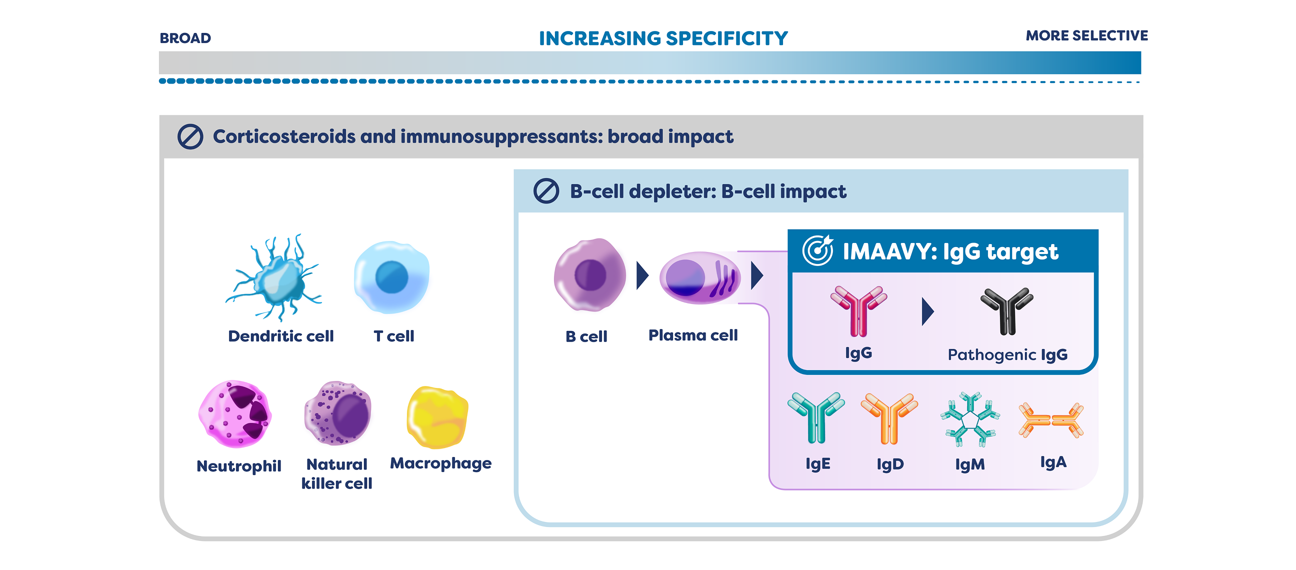 IMAAVY immunoselectivity diagram